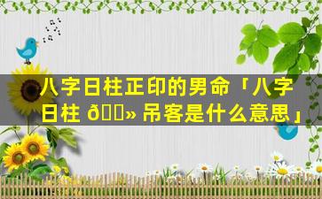 八字日柱正印的男命「八字日柱 🌻 吊客是什么意思」